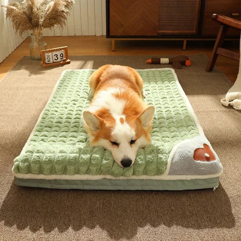 Corgi dog sleeping on a plush green pet bed in a cozy living room