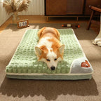 Corgi dog sleeping on a plush green pet bed in a cozy living room