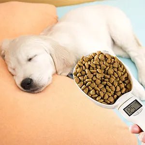 Sleeping puppy on cushion, digital scale scoop with dog food kibble in foreground