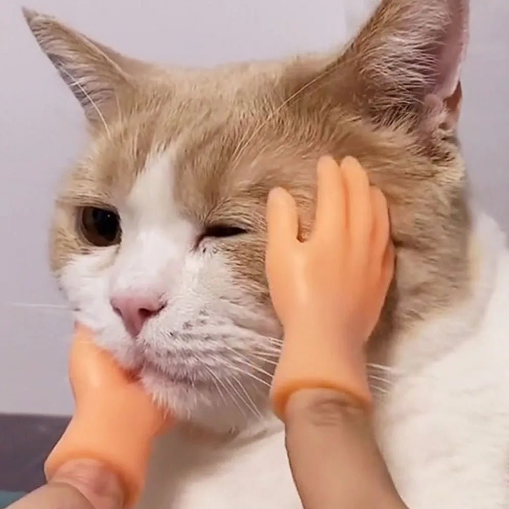 Turn Your Cat Into a Tiny Human With This Hilarious Halloween Glove - Pet Store ED