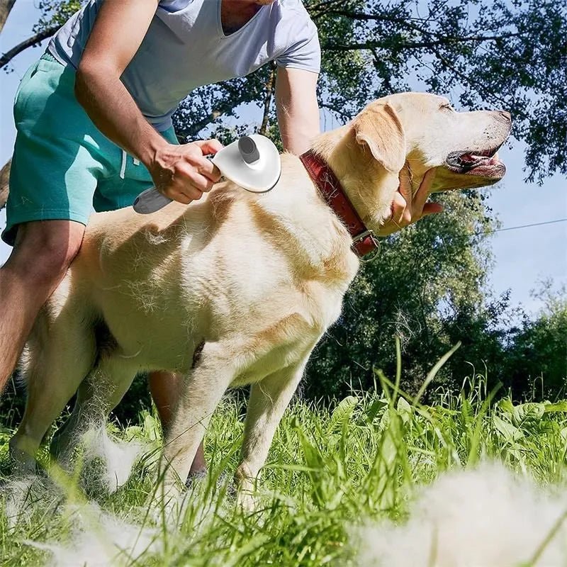 Man brushing yellow Labrador retriever outdoors with pet grooming brush