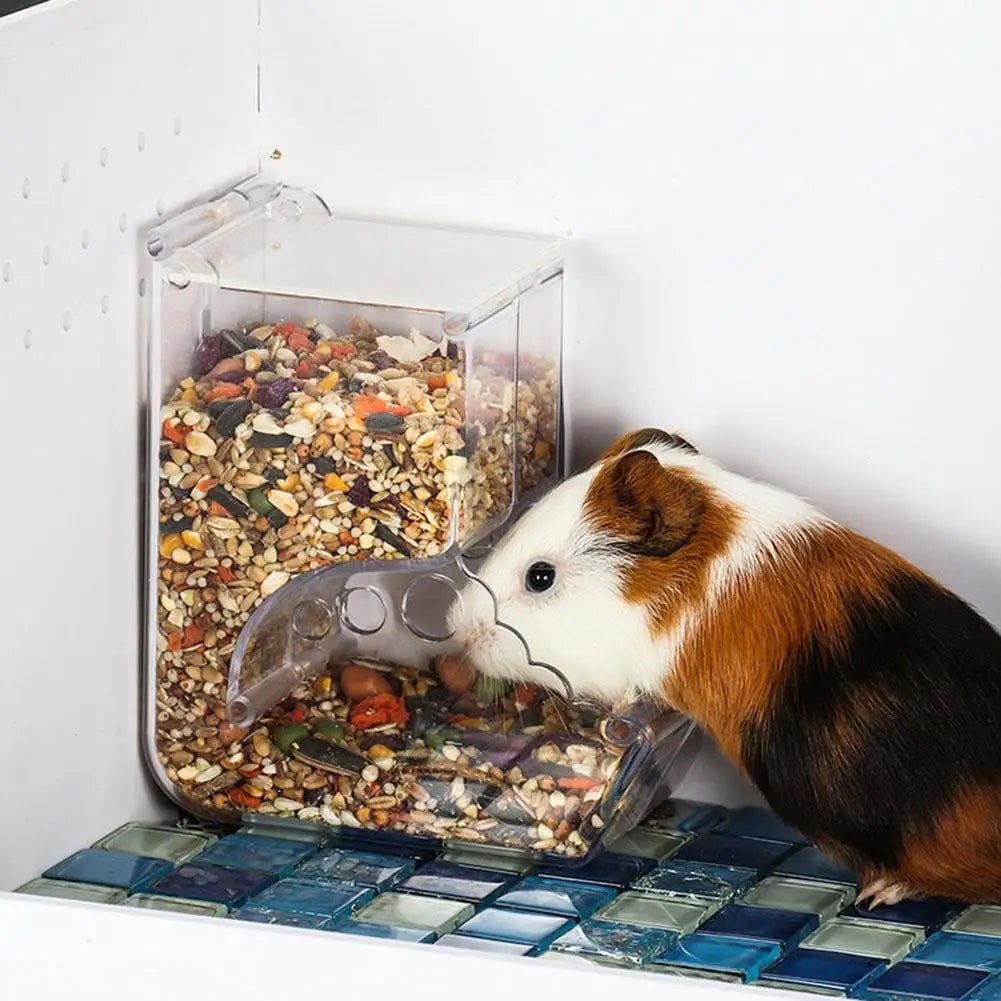Guinea pig eating from clear plastic food dispenser in cage with mixed seeds