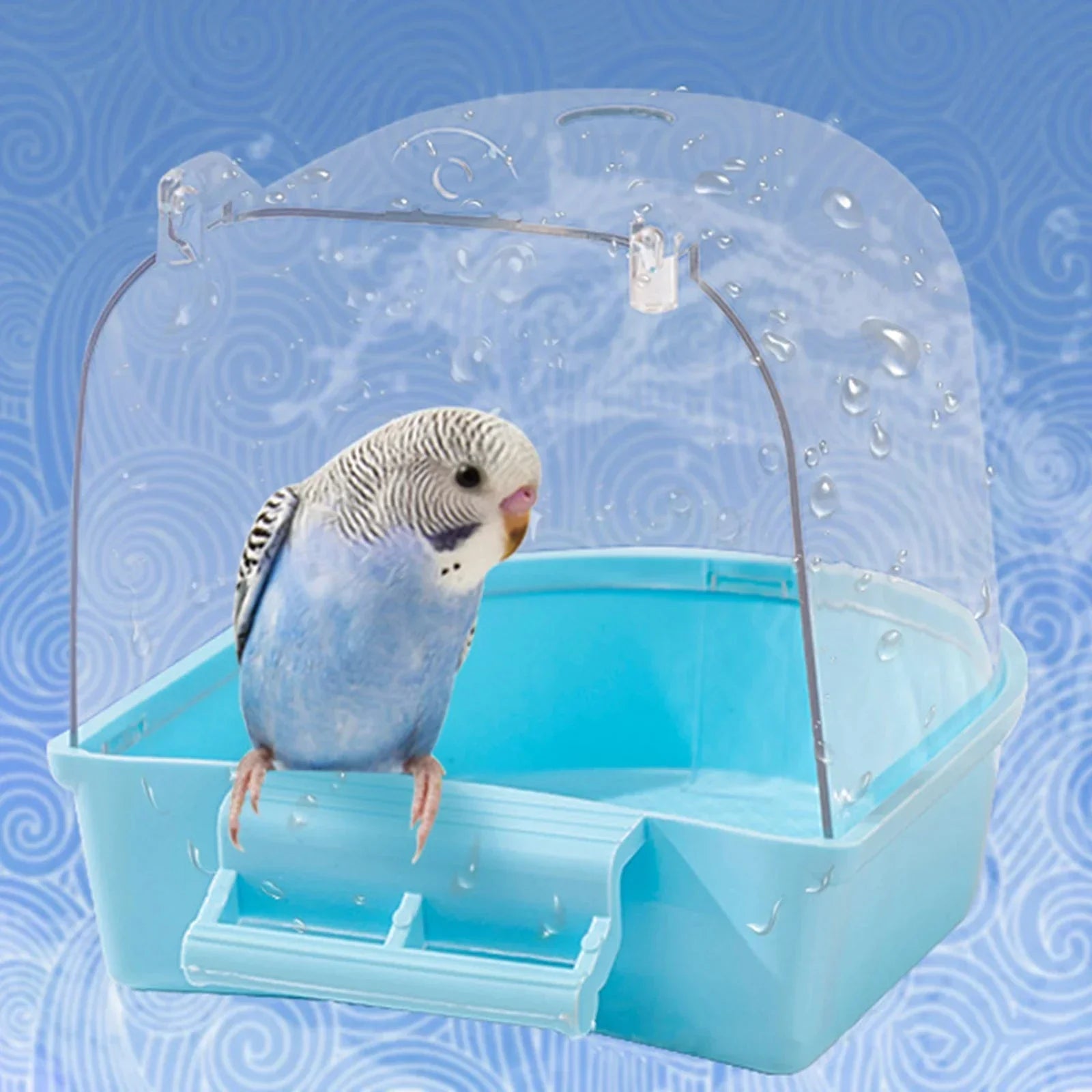 Blue budgie in a transparent plastic bird bath with water droplets, blue swirl background