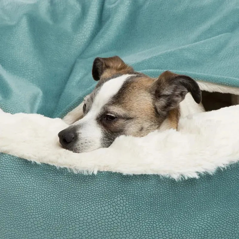 ComfortHaven: The Orthopedic Bed Retreat with Warm Hooded Blanket