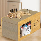 Two cats on a wooden cat house with scratch pad and hanging toys in a living room