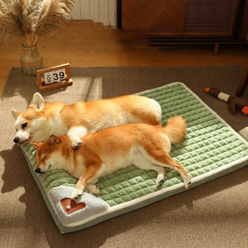 Two dogs sleeping on a green quilted pet bed in a cozy sunlit room