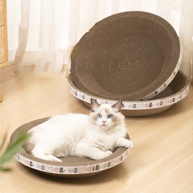 White cat resting on round cat scratching pad with cartoon cat border in bright room