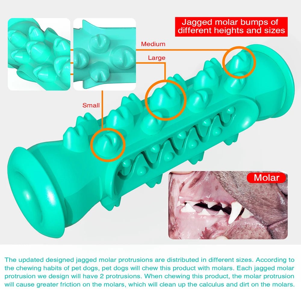 Dog teeth cleaning chew toy with jagged molar bumps in various sizes, teal color