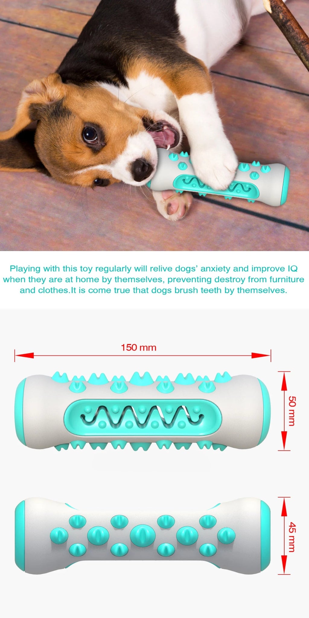 Beagle puppy chewing turquoise dog dental chew toy, dog toothbrush toy with measurements