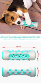Beagle puppy chewing turquoise dog dental chew toy, dog toothbrush toy with measurements