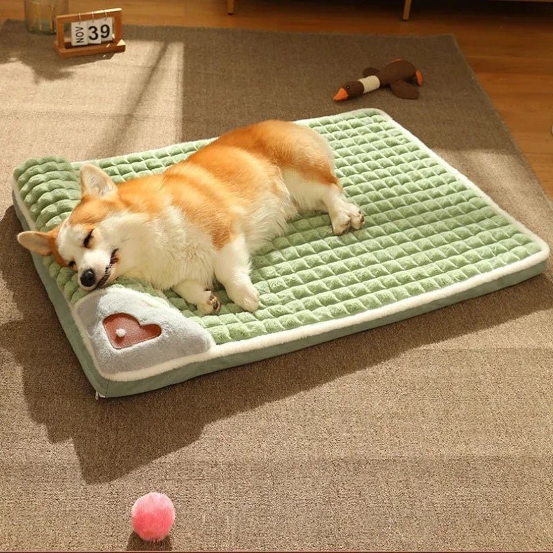 Corgi sleeping on a soft green dog bed on carpet, with toys in a sunny room