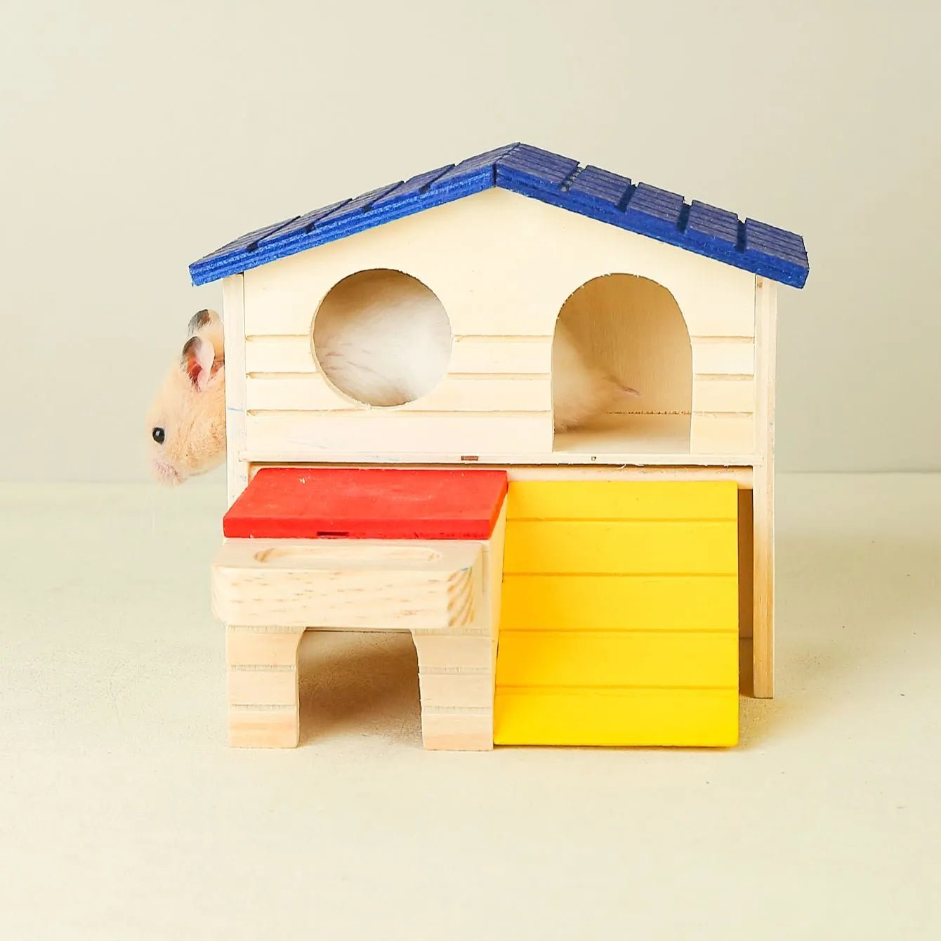 Hamster in wooden hamster house with blue roof, red and yellow entry, pet accessory