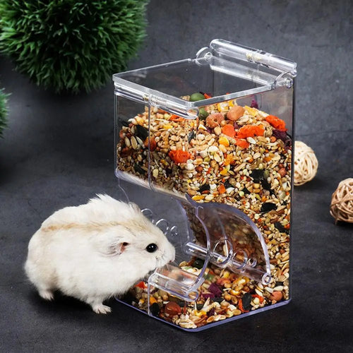 Hamster eating from transparent food dispenser filled with mixed seeds and pellets
