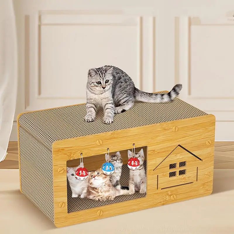 Gray cat on cardboard cat scratcher house with three kittens inside and hanging toys