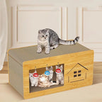 Gray cat on cardboard cat scratcher house with three kittens inside and hanging toys