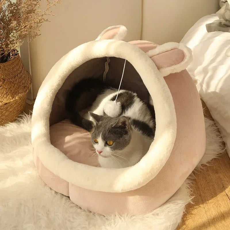 Gray and white cat in a soft pink cat bed with bunny ears in a cozy sunlit room