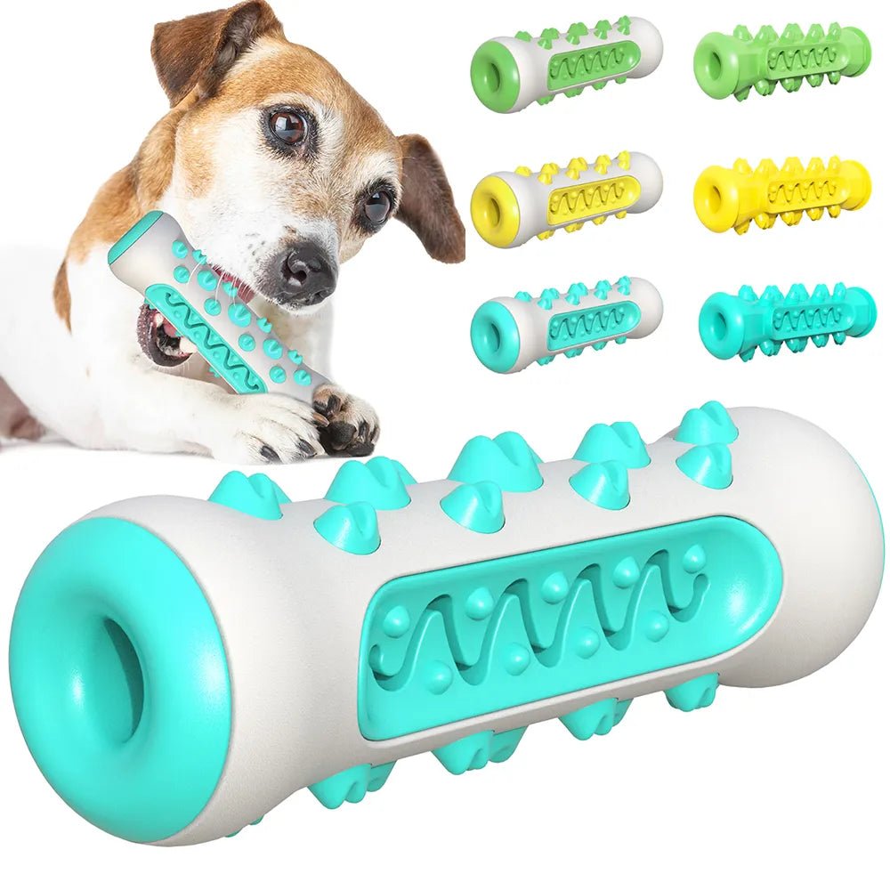 Small dog chewing spiked rubber dog toy, various colors of dog chew toys shown.