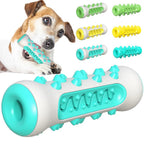 Small dog chewing spiked rubber dog toy, various colors of dog chew toys shown.