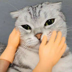 Turn Your Cat Into a Tiny Human With This Hilarious Halloween Glove - Pet Store ED