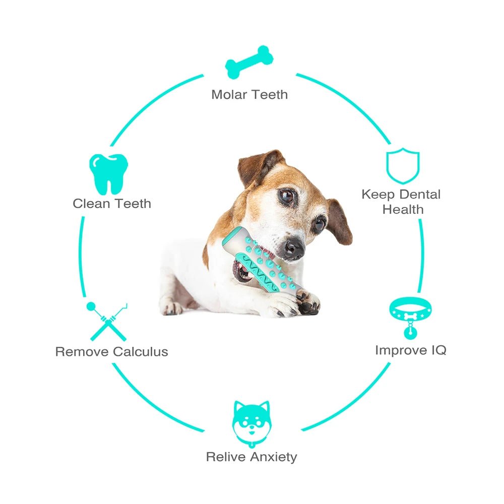 Dog chewing blue dental toy for clean teeth, molar health, anxiety relief, and IQ improvement