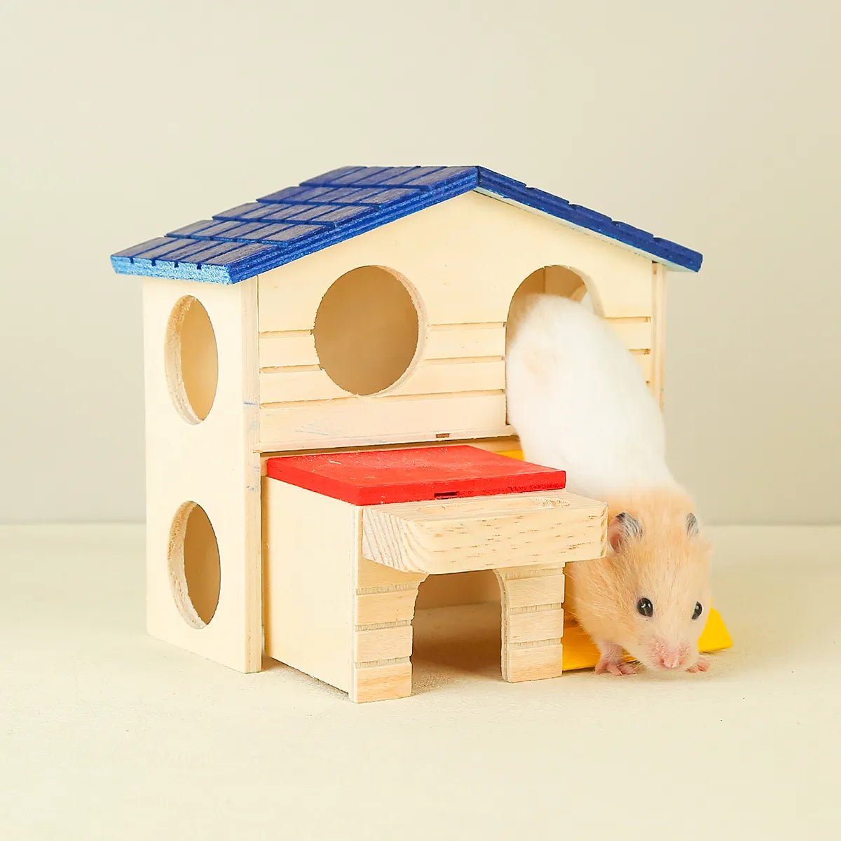 Hamster exiting wooden house with blue roof and red ramp on beige background