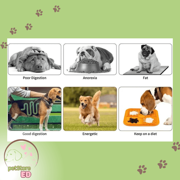 Dog health infographic showing poor digestion, anorexia, obesity, good digestion, energy, and diet benefits of slow feeding.