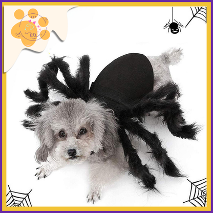 SpiderPaw: Transform Your Pet into a Hilarious Halloween Spider