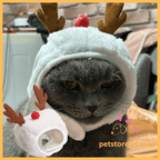 Gray cat wearing Christmas reindeer hat indoors, festive pet costume, petstoreeed.com logo