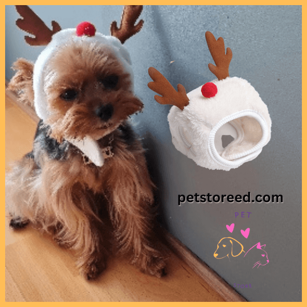 Perfect Christmas look for small dogs – SnuffelKerst reindeer hat