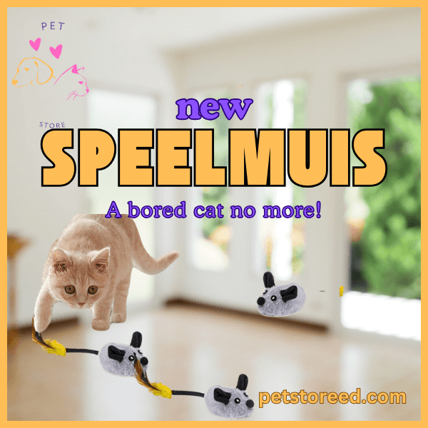 Cat playing with SpeelMuis mouse toy in a bright room, cat boredom relief, petstorreed.com