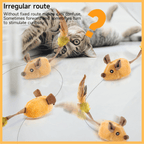 Cat playing with irregular route feather mouse toy on glossy floor