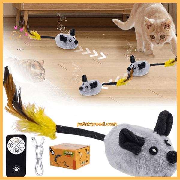 Cat playing with remote control mouse toy set, fluffy tail, USB cable and box included