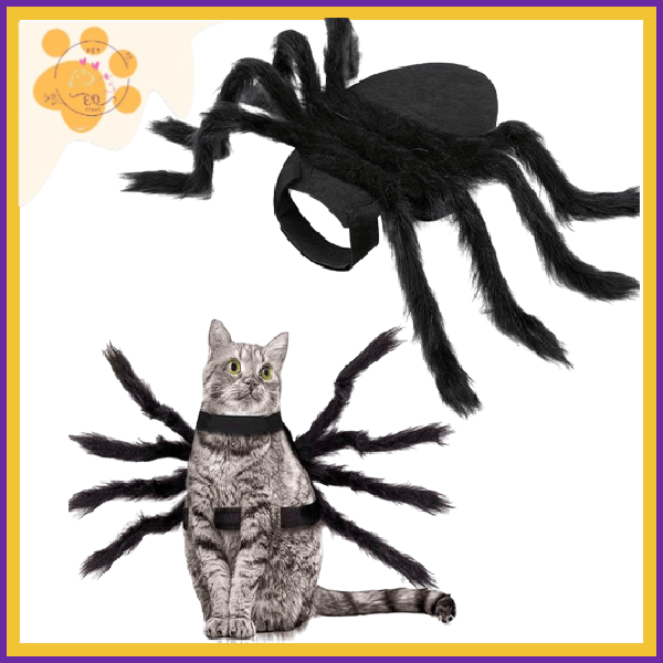 Gray tabby cat wearing a black spider costume with eight furry legs for Halloween or cosplay.