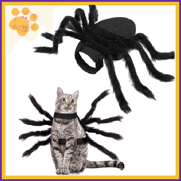 SpiderPaw: Transform Your Pet into a Hilarious Halloween Spider