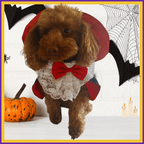 Dog in vampire costume with red cape and bow, pumpkin, bats, spider webs, and candles, Halloween theme