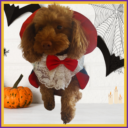 🕸️Bite Me Cape: The Ultimate Pet Vampire Halloween Costume!