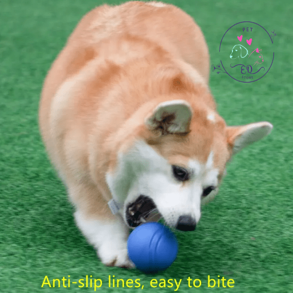 Welsh Corgi Pembroke playing in grass with blue Eco Chew Ball dog toy