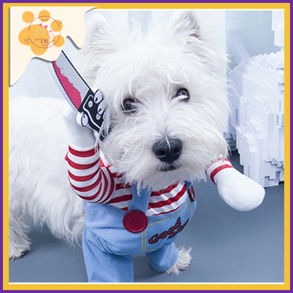 Small dog dressed as Chucky for Halloween, with a red-striped shirt and knife.