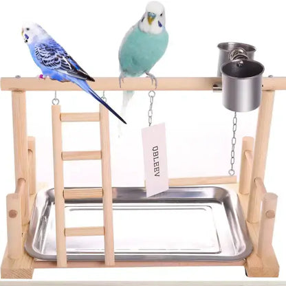 budgies enjoying multifunction parrot training stand