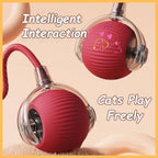 Red intelligent cat toy ball with transparent accents and playful cat illustrations
