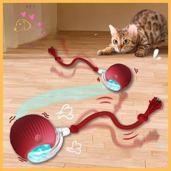 Bengal cat playing indoors with red interactive toy ball with tail on wooden floor