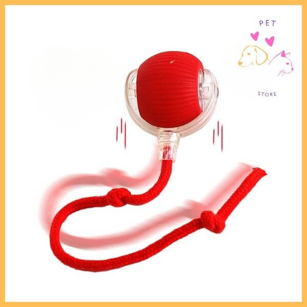 Red interactive pet ball toy with rope, close-up, on white background