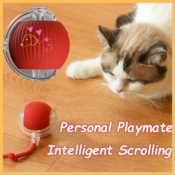 Cat with red interactive rolling toy ball for cats on wooden floor, text says 'Personal Playmate Intelligent Scrolling'.