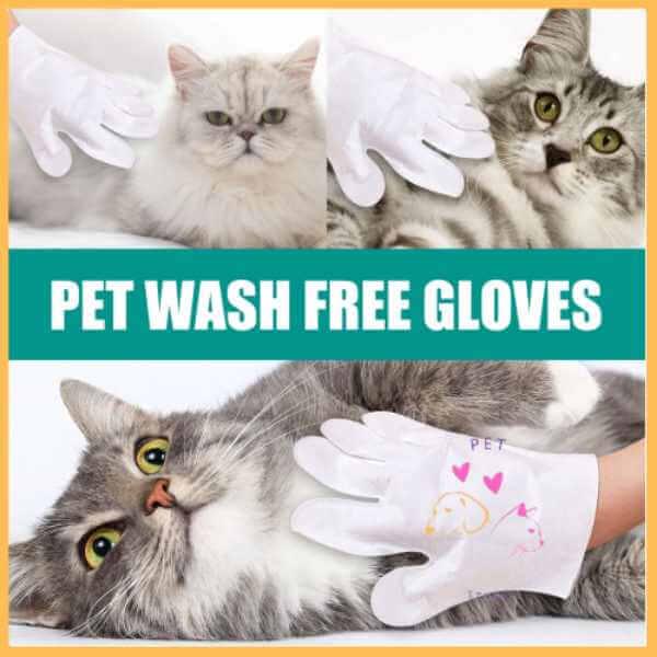 Cats being groomed with white pet cleaning gloves, Pet Wash Free Gloves text banner