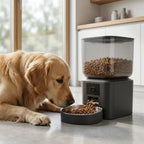 Smart pet feeder with camera close-up showing food dispensing mechanism beside labrador eating from bowl in modern home kitchen