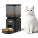 PawClock programmable automatic cat feeder with transparent food reservoir and white cat