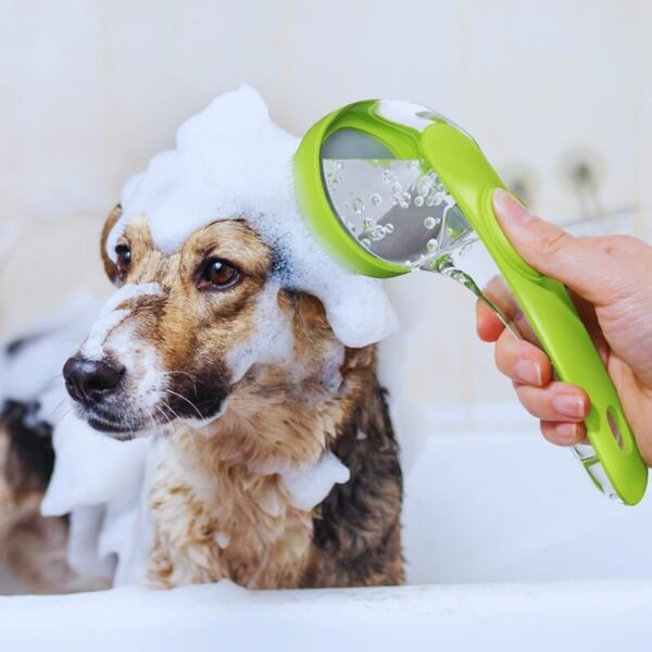 Dog being bathed with green pet bath brush, covered in soap suds in bathtub