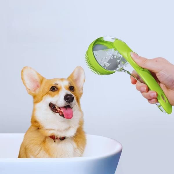 Corgi in bath with green pet bath brush dispensing water, dog grooming product