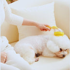 Person grooming fluffy white dog with yellow pet bath brush on a cream sofa