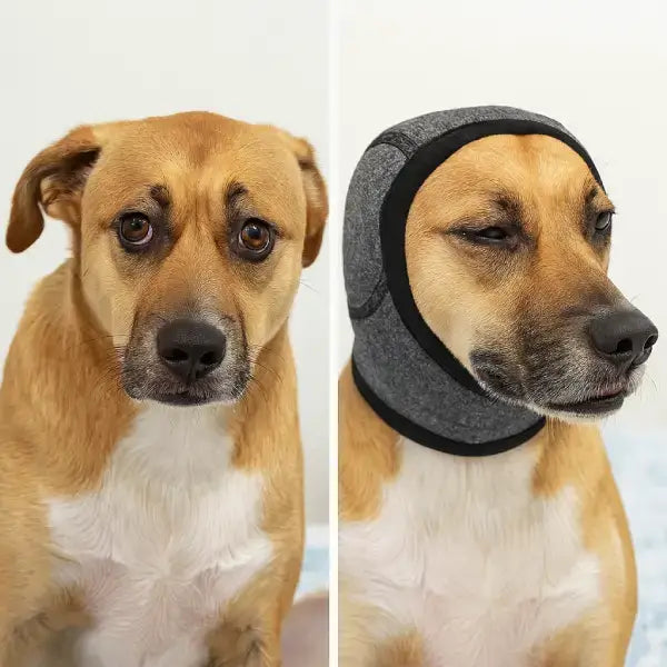 Effective anxiety reduction in dogs with wearable sound protection shown in before-after image.